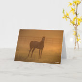 Carte Bob Langrish | Arabe debout Dans La Mist (Fleur jaune)