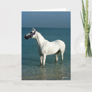 Carte Bob Langrish Arabe gris debout Dans La Mer