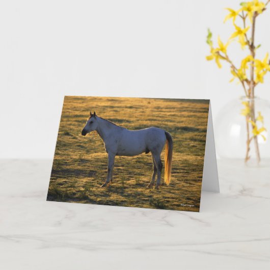 Carte Bob Langrish | Arrière-lit debout (Fleur jaune)