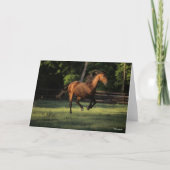 Carte Bob Langrish | Baie Andalousie Cheval Courir (Devant)