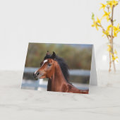 Carte Bob Langrish | Bay Arab Colt Headshot (Fleur jaune)
