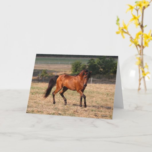 Carte Bob Langrish | Bay Arab Walking (Fleur jaune)