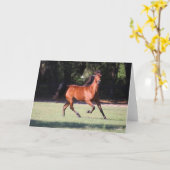 Carte Bob Langrish | Bay Tennessee Walker Running (Fleur jaune)