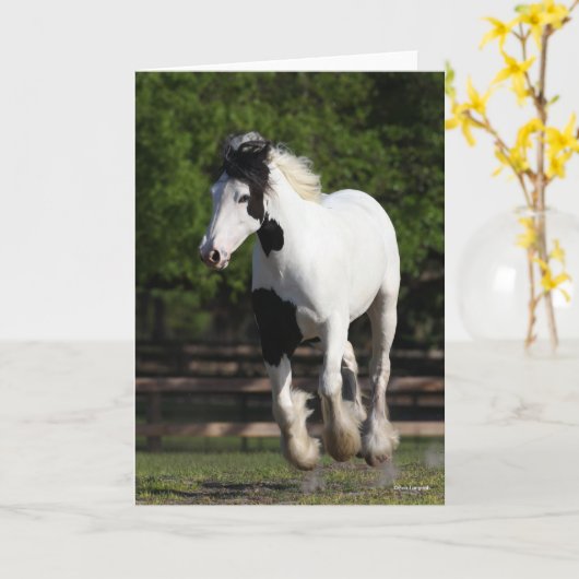 Carte Bob Langrish Black and White Gypsy Vanner Running (Fleur jaune)