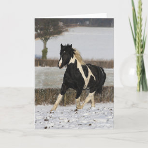 Carte Bob Langrish Black and White Welsh Cob in the Snow