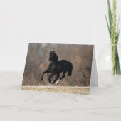 Carte Bob Langrish | Black Andalucian Stallion Courir (Devant)