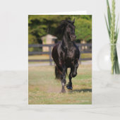 Carte Bob Langrish | Black Friesian Mare Running (Devant)