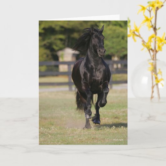 Carte Bob Langrish | Black Friesian Mare Running (Fleur jaune)
