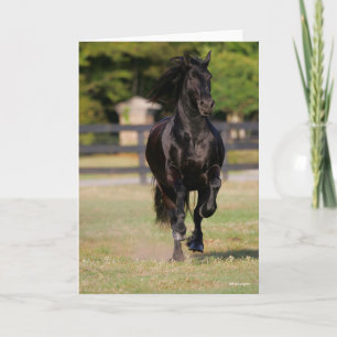 Carte Bob Langrish   Black Friesian Mare Running