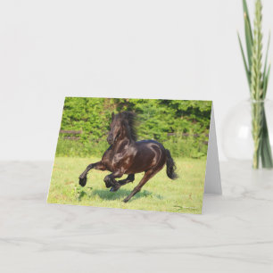 Carte Bob Langrish   Black Friesian Running