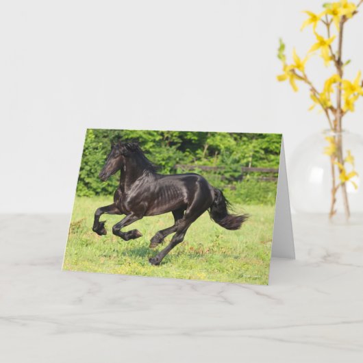 Carte Bob Langrish | Black Friesian Running (Fleur jaune)
