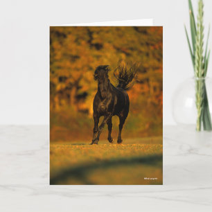 Carte Bob Langrish   Black Friesian Running En Automne