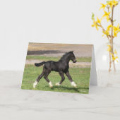 Carte Bob Langrish | Black Gypsy Vanner Foal Running (Fleur jaune)