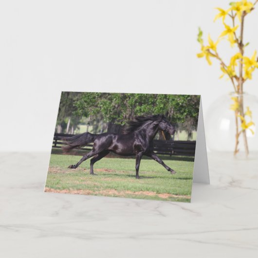 Carte Bob Langrish | Black Lusitano Runer Mane Flow (Fleur jaune)