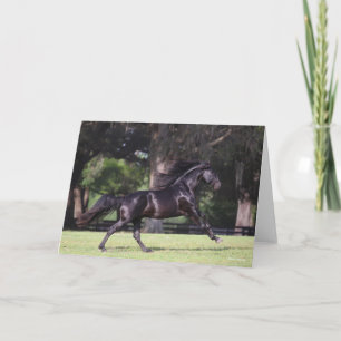 Carte Bob Langrish   Black Lusitano Running