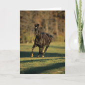 Carte Bob Langrish | Black Thoroughbred Running (Devant)