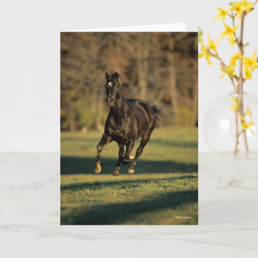 Carte Bob Langrish | Black Thoroughbred Running (Fleur jaune)