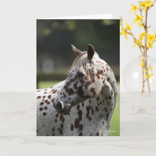 Carte Bob Langrish | Capture d'écran Appaloosa Standing (Fleur jaune)