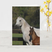 Carte Bob Langrish | Capture d'écran Arab Mare and Foot (Fleur jaune)