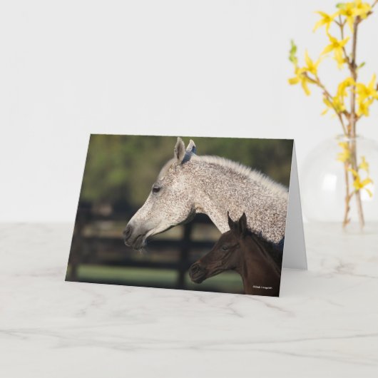 Carte Bob Langrish | Capture d'écran arabe de Mare et Fo (Fleur jaune)