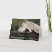 Carte Bob Langrish | Capture d'écran arabe de Mare et Fo (Devant)