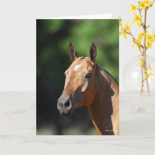 Carte Bob Langrish | Capture d'écran d'Akhal Teke (Fleur jaune)