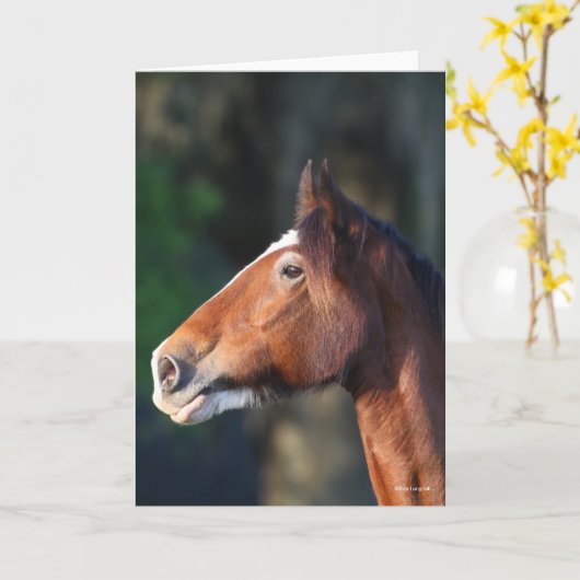 Carte Bob Langrish | Capture d'écran de Clydesdale (Fleur jaune)