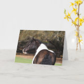 Carte Bob Langrish | Capture d'écran de la bannière tzig (Fleur jaune)