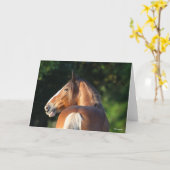 Carte Bob Langrish | Capture d'écran du Cheval Clydesdal (Fleur jaune)