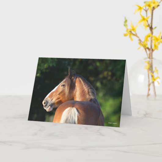 Carte Bob Langrish | Capture d'écran du Cheval Clydesdal (Fleur jaune)