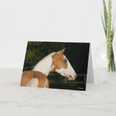 Carte Bob Langrish | Capture d'écran du cheval de peintu (Devant)