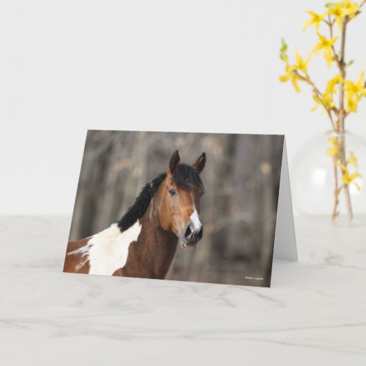 Carte Bob Langrish | Capture d'écran du Cheval de peintu (Fleur jaune)