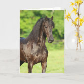 Carte Bob Langrish | Capture d'écran du cheval friésien (Fleur jaune)
