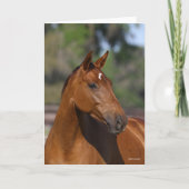 Carte Bob Langrish | Capture d'écran du Cheval sportif c (Devant)