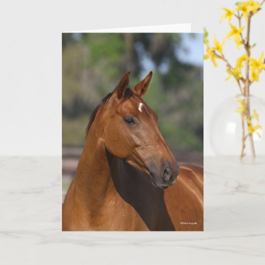 Carte Bob Langrish | Capture d'écran du Cheval sportif c (Fleur jaune)