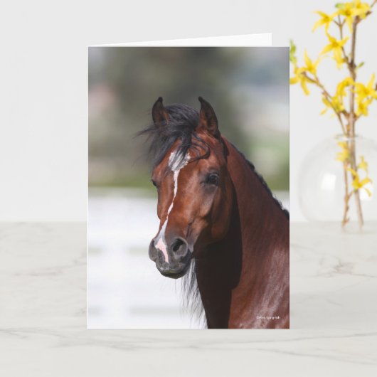 Carte Bob Langrish | Capture d'écran du Colt arabe Bay (Fleur jaune)