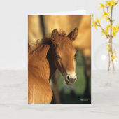 Carte Bob Langrish | Capture d'écran du poulain du quart (Fleur jaune)