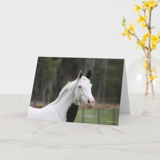 Carte Bob Langrish | Capture d'écran d'un cheval en sang (Fleur jaune)