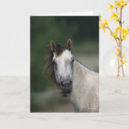 Carte Bob Langrish | Capture d'écran d'un cheval gris (Fleur jaune)