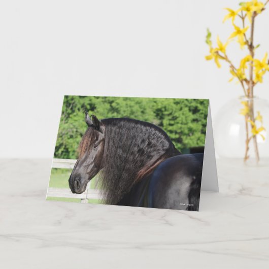 Carte Bob Langrish | Capture d'écran Friesian Horse Stan (Fleur jaune)