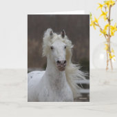 Carte Bob Langrish | Capture d'écran Grey Friesian Appal (Fleur jaune)