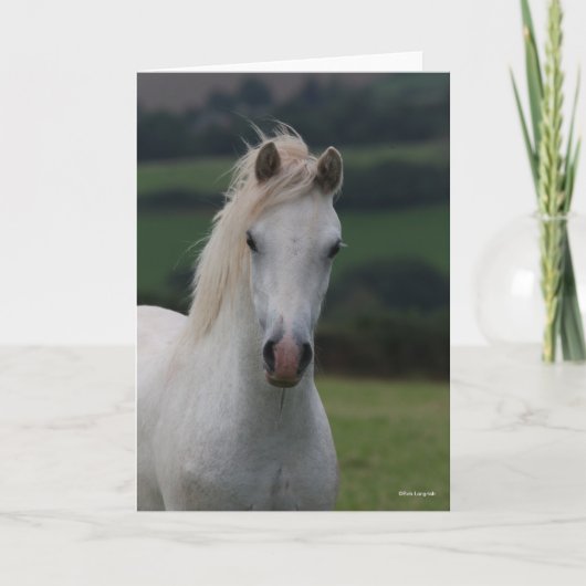 Carte Bob Langrish | Capture d'écran Gris Welsh Pony (Devant)