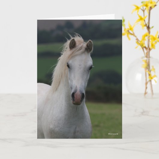 Carte Bob Langrish | Capture d'écran Gris Welsh Pony (Fleur jaune)