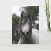 Carte Bob Langrish | Capture d'écran Gris Welsh Pony (Devant)