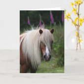 Carte Bob Langrish | Capture d'écran Shetland Pony avec  (Fleur jaune)