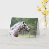 Carte Bob Langrish | Capture d'écran Spotty Knapstrupper (Fleur jaune)