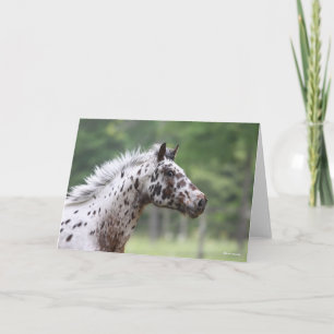 Carte Bob Langrish   Capture d'écran Spotty Knapstrupper