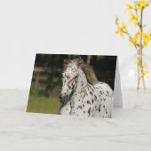 Carte Bob Langrish | Capture D'Écran Spotty Pony Of Amer (Fleur jaune)