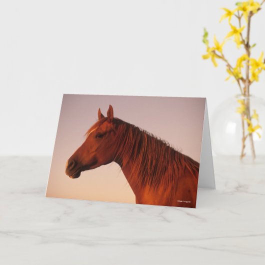 Carte Bob Langrish | Cascade de soleil pour Cheval arabe (Fleur jaune)