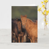 Carte Bob Langrish Caspian Pony Folies Se Regroupent (Fleur jaune)